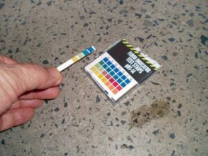 carbon test